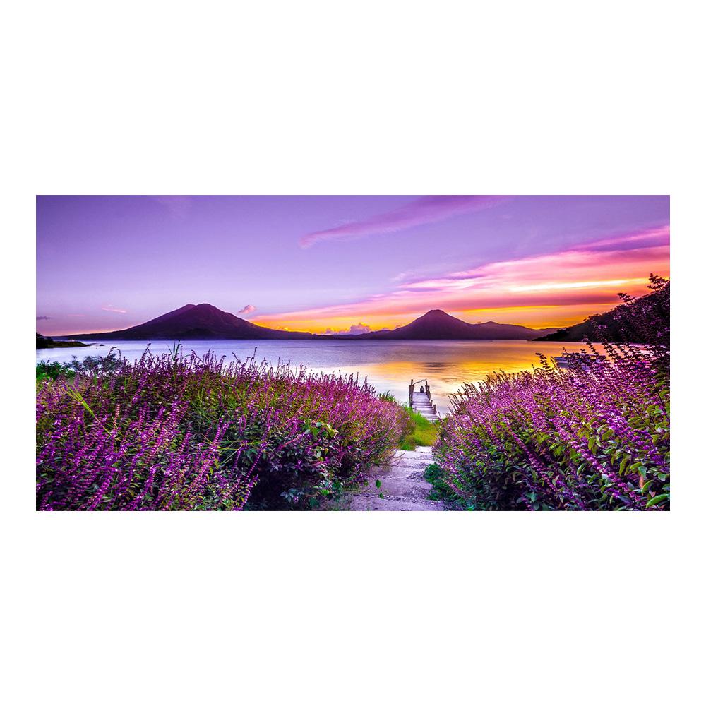 

Современные пейзажные картины, лавандовые постеры и принты, фиолетовые цветы, холст, картина для гостиной, домашний декор, настенное искусство Cuadros без рамки 50x100cm