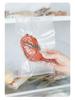 Mini Household Vacuum Sealer for Food Preservation