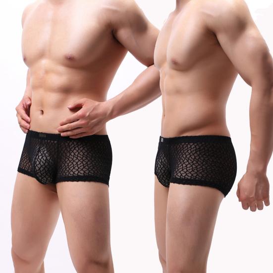 Men Summer Thin Underwear Low-rise Sexy Transparent Lace Shorts Panties Breathable Lightweight Elastic Comfortable Underwear