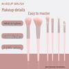 Cangzhou 6-Piece Portable Makeup Brush Set: Foundation, Eyeshadow, Loose Powder, Blush, Eyeliner, Detail.
