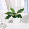 Artificial Potted Plants Small Simulated Green Plants for Home Decor, Office Desk, Indoor Landscape, Creative Fake Leaf Decor