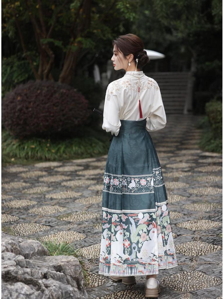Ming Dynasty-inspired Embroidered Hanfu Skirt and Top Set