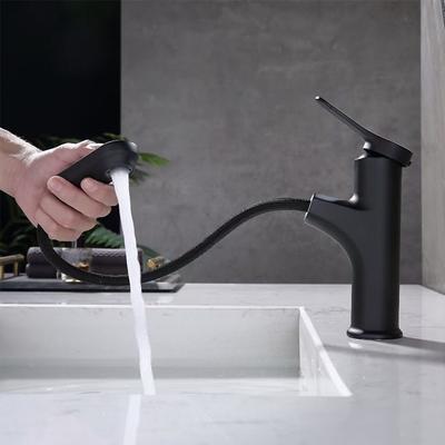 Bathroom Washbasin Faucet Pull Out Kitchen Sink Faucet Hot and Cold Water Kitchen Sink Mixer Faucet Bathroom Accessories