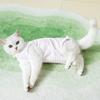 Striped Cat Pet Sterilization Suit Breathable Touch Fastener Cat Post-op Suit Anti-Licking Comfortable Dog Jumpsuit Pajamas