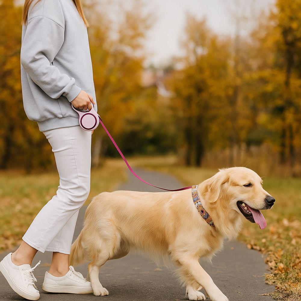 Wear-resistant Pet Dog Leash Anti-bite Automatic Dog Leash Dog Walking Leash  Running