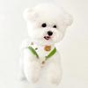 Summer Two Feet Cute Pattern Full of Collar Vest Suitable for Small and Medium-sized Dogs Pet Clothes Can Be Customized