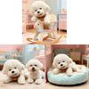 Plush Bichon Dog Toy With Soft Pp Cotton Filling For Kids Gift And Play