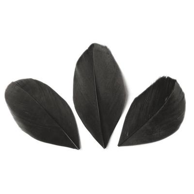 50 Cut Feathers - Black 6 Cm