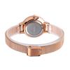 Exquisite Steel Case Rose Gold Steel Belt Women's Quartz Watch Simple Round Small Dial Female Student Watch
