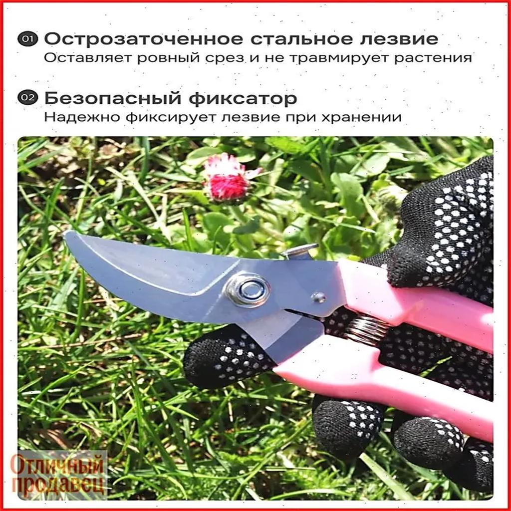 Stainless Steel Fruit Picking Shears, Garden Branch Clippers, Landscaping Pruning Shears