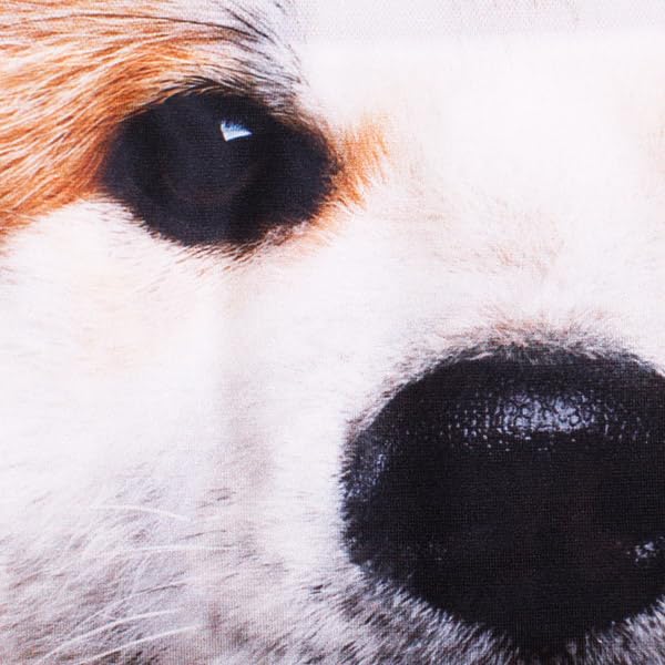 [Hip Shop] Men's Animal Underwear, Akita Dog