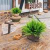 Künstliche Pflanzen Plastik Persischer Farn Blatt Zuhause Zimmer Hochzeit Party Fensterbank Deko Blumengesteck Zubehör Wandbehang