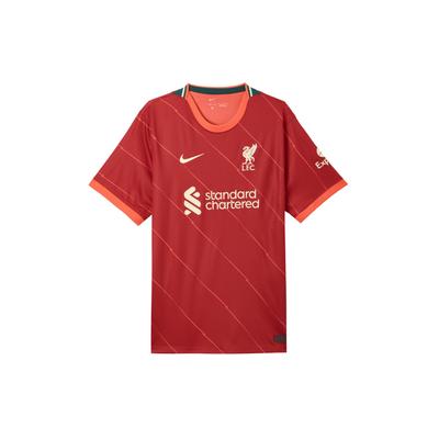 Nike Soccer Jersey Men's Health Red DB2560-688