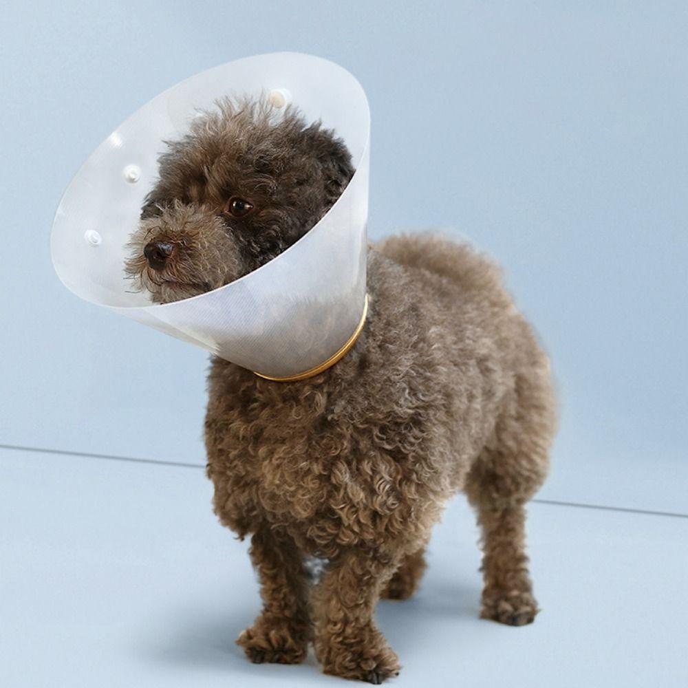 Adjustable Pet Protective Collar Plastic Cat Elizabethan Collar Cat Recovery Collar For Dog Cats