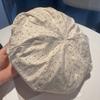 Chic Vintage Plaid Beret Hat With Satin Shine Fabric For Women Winter Fashion