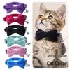 Velvet Bowknot Kitten Collar with Safety Buckle and Bell