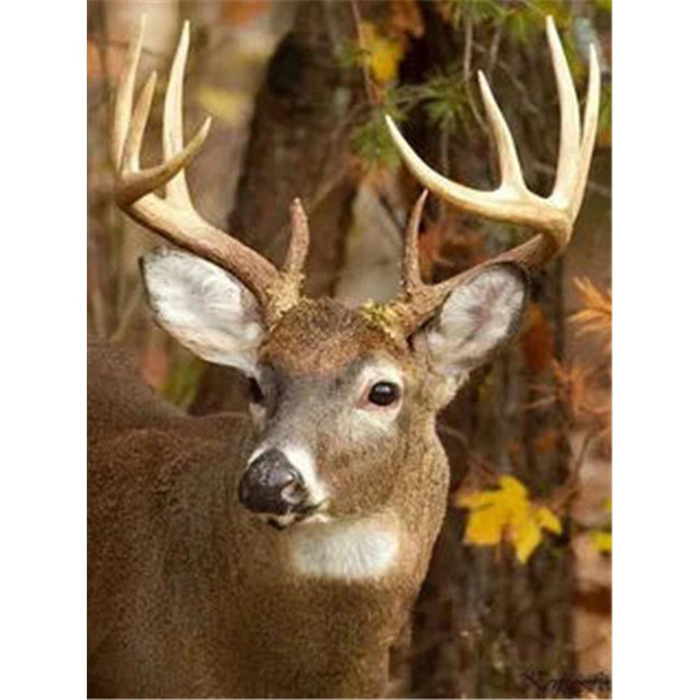 3D Diamond Embroidery Painting Animal Dog Art Rhinestone Full Square Diamond Mosaic Garden Handicraft Handmade Gift