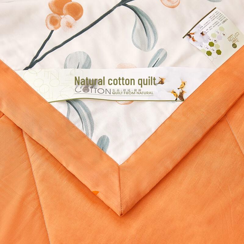Duqi Man Xinjiang Cotton Summer Air-Conditioning Quilt