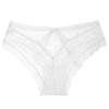 TERMEZY Sexy Panties Transparent Underwear Women Briefs Hollow Out High Quality Lace Underpants Lingerie G String Intimates