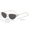 2026 Nieuwe Metalen Cat-Eye Mode Individuele Punk Biker Stijl Decoratieve Bril