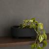 Decorațiuni pentru casă – Ghivece de flori decorative