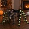 Fastener Buckle Pet Costume Halloween Spider for Dog Cat, Hairy Dress Up Outfit Party Accessory, Festival Pets