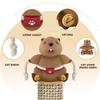 Cat Wrestling Gloves Cat Puppet Wrestler Cute Cat Toy
