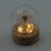 Floral Glow Garden Dome – 1 Dandilion- LED Battery