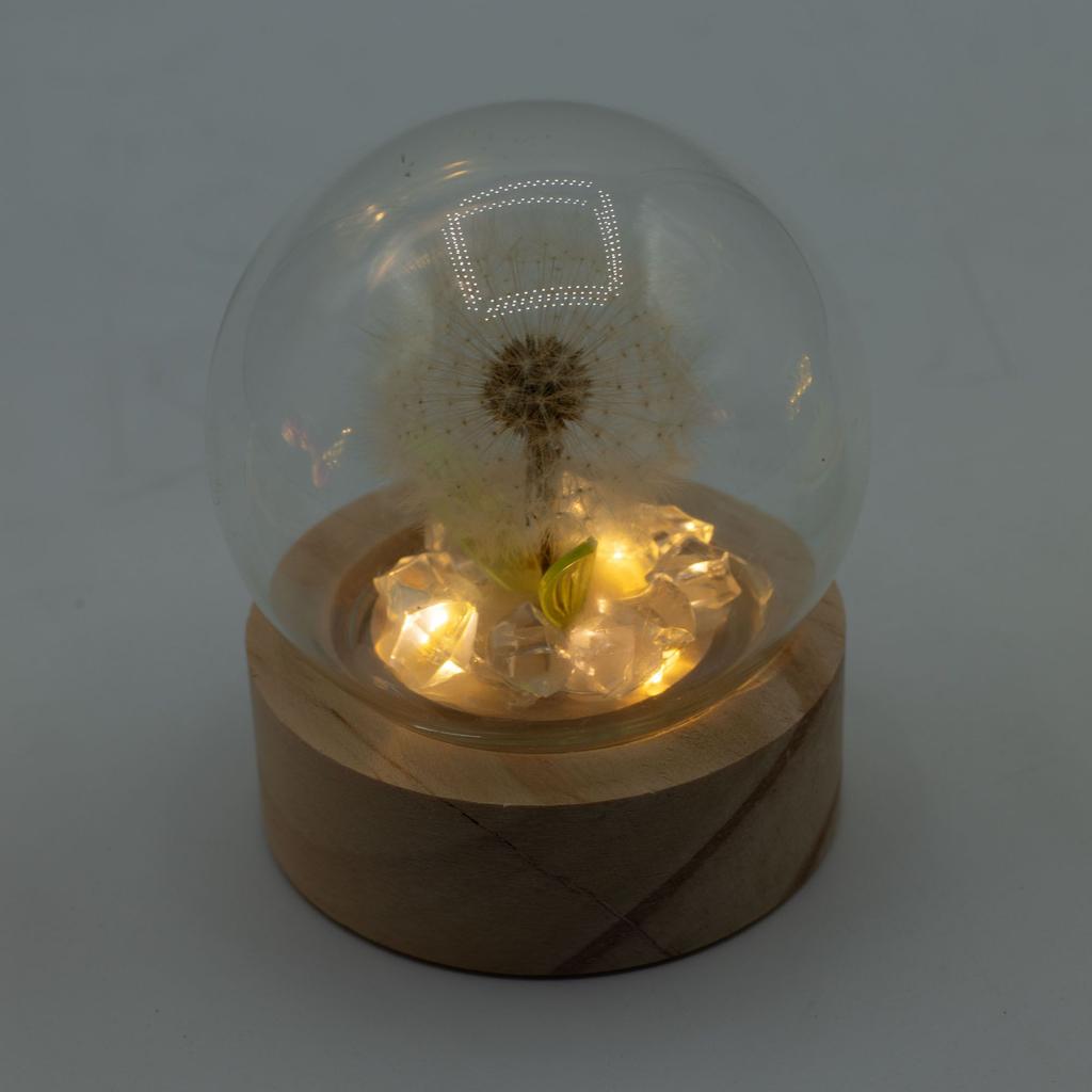 Floral Glow Garden Dome – 1 Dandilion- LED Battery
