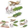 Lifelike Insect Model Set With Four Unique Designs Including Orchid Mantis Leaf Insect And More