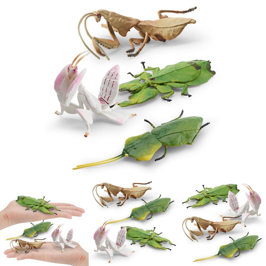 Exquisite Pvc Insect Figures Collection Including Leaf Mantis Stick Insect And Dead Leaf Mantis