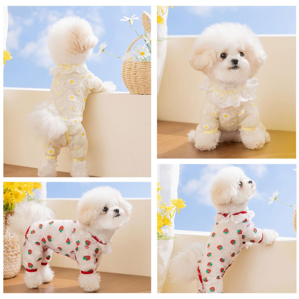 Puppy Insect Proof Jumpsuit Summer Breathable Mesh Dog Clothes Teddy Strawberry Pattern Four Legged Clothing Cuter Bichon Cover