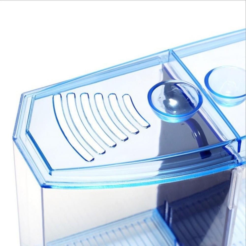 Transparent Betta Isolation Box Single/Double Grid Fish Breeder Box  Office Fish