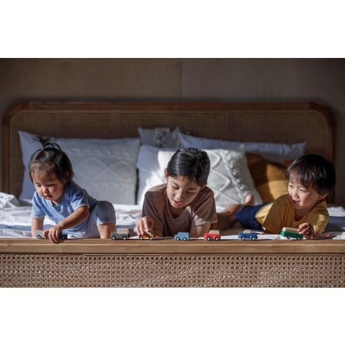 PLANTOYS JAPAN Plan World Car 6285