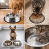 Rustproof Pet Bowl Footprint Pattern Pet Drinking Bowl Easy Rinse Cat Food Bowl  Pet Dining Use