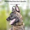 Heavy-Duty Large Dog Tie-Out Collar, Suitable for Malinois and Fierce Dogs