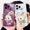 Blue Metallic Paint Tempered Glass Phone Case for Iphone 14 13 12 11 Pro Max X XS XR 7 8 Plus 2020 SE Jacketed Backpack Rabbit