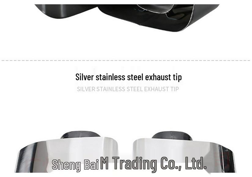 Stainless Steel Tailpipe Tip for 2018-2021 BMW X3 X4 (G01/G02) Exhaust Modifications