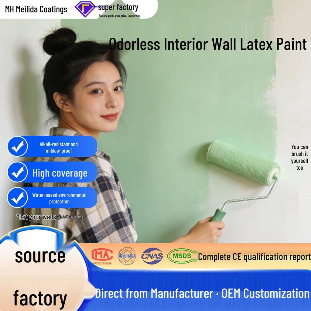 Custom Eco-Friendly White Interior Wall Repair Paint