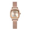 Light Luxury Fashion Simple Premium Square Small Dial Temperament Mesh Strap Waterproof Quartz Ladies Watch