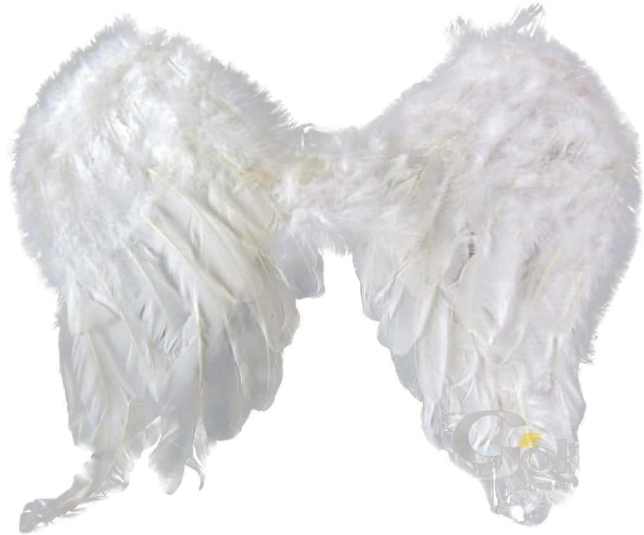 White Feather Angel Wings to Put on Your Shoulders 40x45cm