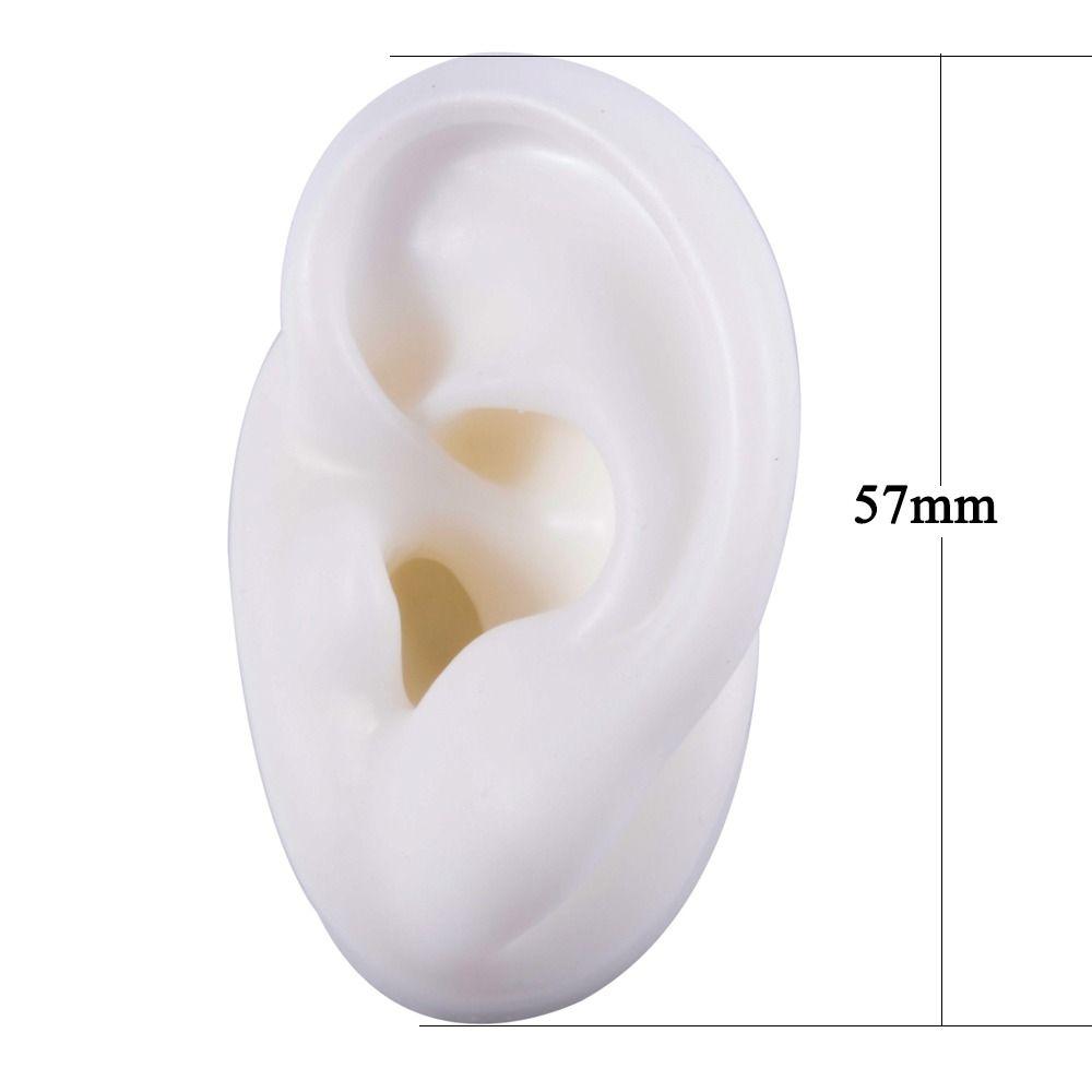 Reuseable Ear Model Silicone Earrings Display Stand Soft Piercing Model  Medical Teaching Props