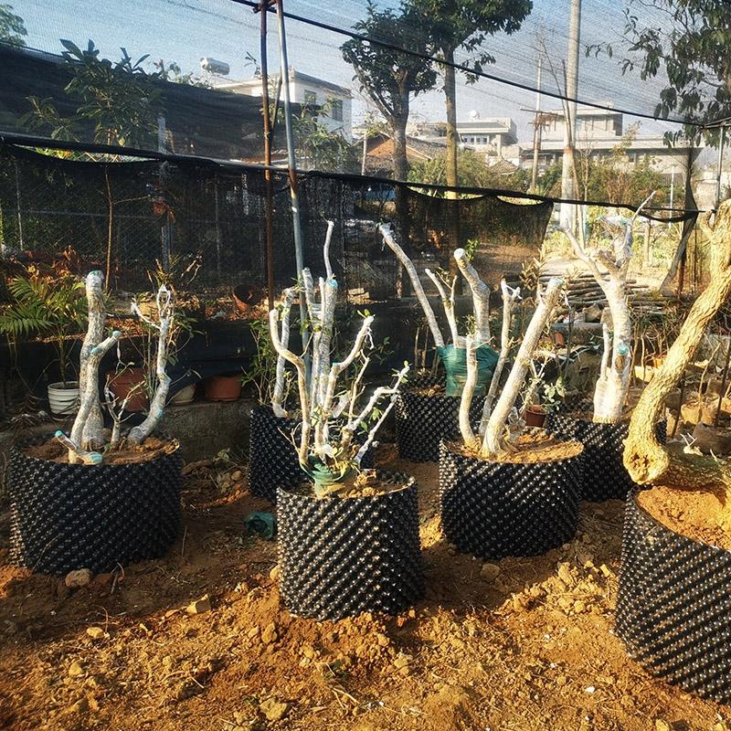 Air Pruning Containers Plastic Planters Plant Root Control Nursery Pots For Fruit Vegetable Garden Orchard Self-Planting Pots
