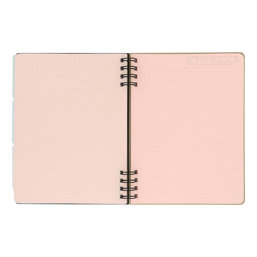 Rollbahn Esnek Kapak Asuka Wakida L [DELFONICS] [YAŞAM KAYDI] 360°