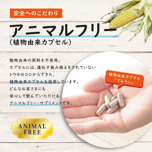 Gacha Gold 100% Black Ginger Supplement, 90 capsules x 250mg = 22.5g, Made in Japan, Vegetable Capsules, Chuo Create Health Food Division