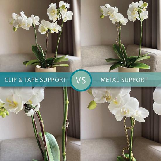 4Pcs Plant Climbing Rack Sturdy Good Ventilating Metal Indoor Outdoor Potted Plants Flower Support Holder Daily