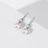 S925 Sterling Silver Pearl Earrings and Earrings for Women's Minimalist Temperament with Diamond Embedding Long Beizhu Earrings Fashion Jewelry