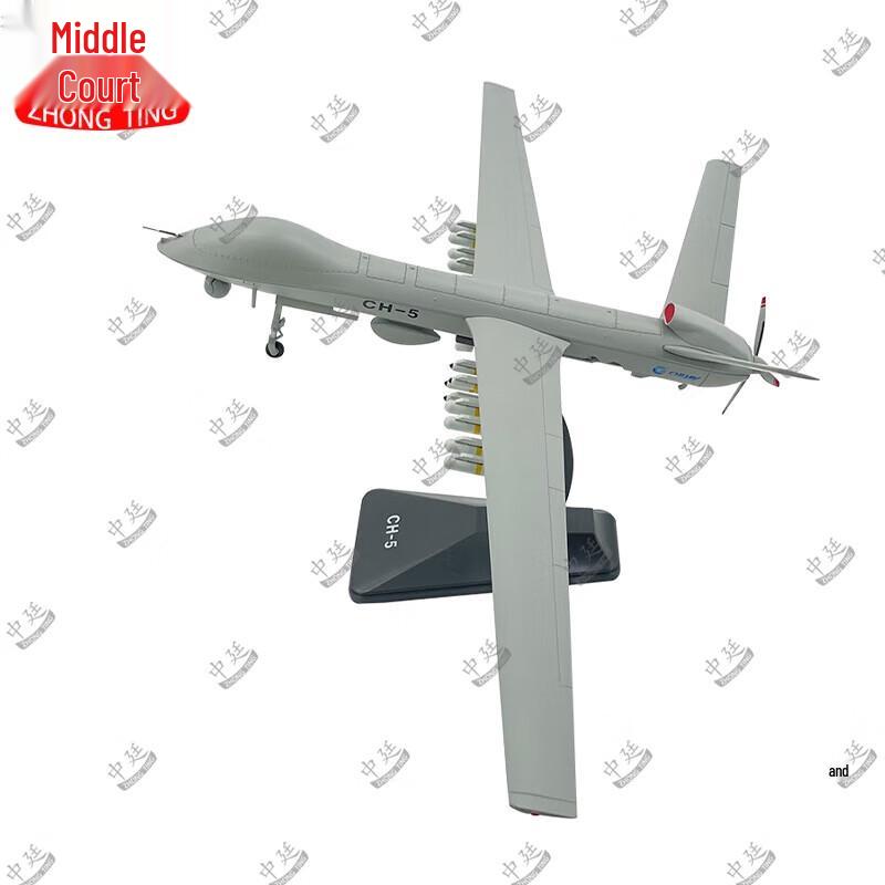Zhongting Rainbow-5 Military Aircraft Model
