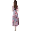 2026 Spring and Summer V-neck New Fashion Korean Version of Ice Silk Printing Dress Waist Slim Knee Super Long Dress