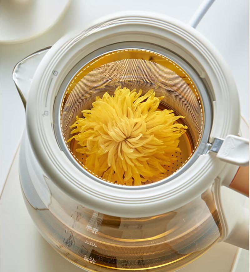 220V Home Office Health Pot Household Multi-functional Tea Maker 304 Stainless Steel Strainer Flower Teapot